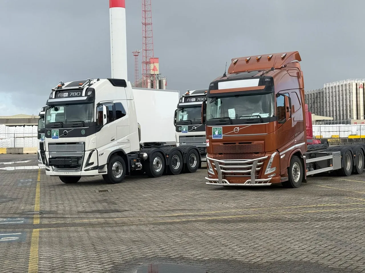 Truck tractor units ready for export shipping from Antwerp